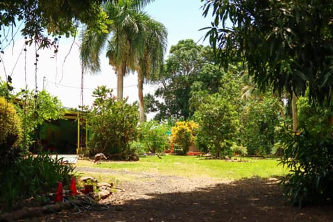 Day, Natural landscape, Garden, Garden view