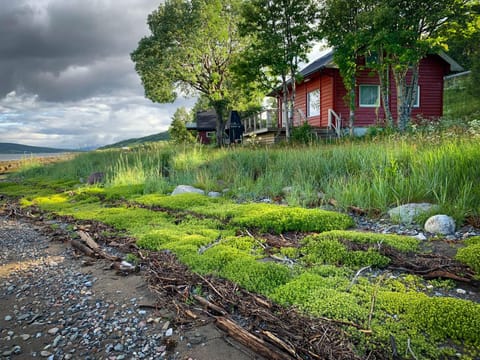 Property building, Natural landscape, Garden, Beach, Hiking