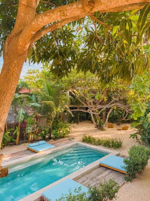 Day, Garden, Garden view, Pool view, Swimming pool, sunbed