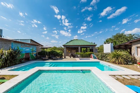 Garden, Swimming pool, sunbed