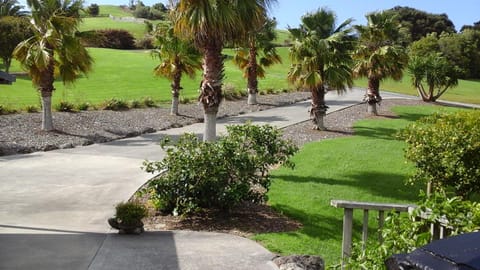 Pukeko Nest Bed and Breakfast in Northland