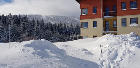 Property building, Winter, Mountain view