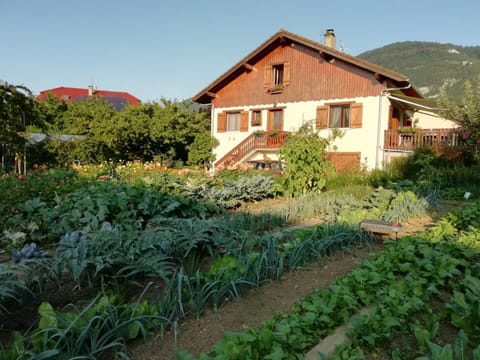 Property building, Garden