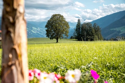 Natural landscape