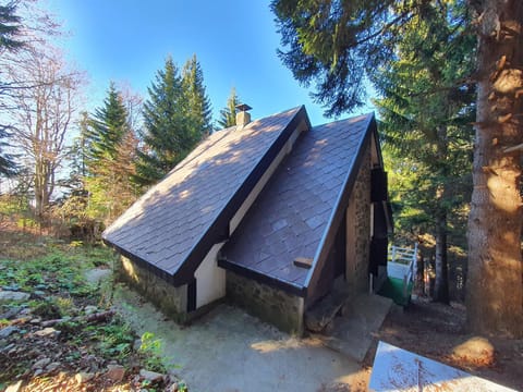 VILA PAVLOVIC House in Serbia