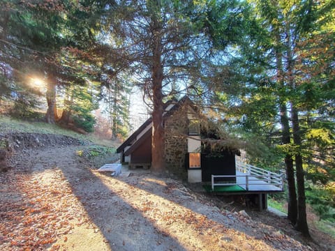 VILA PAVLOVIC House in Serbia