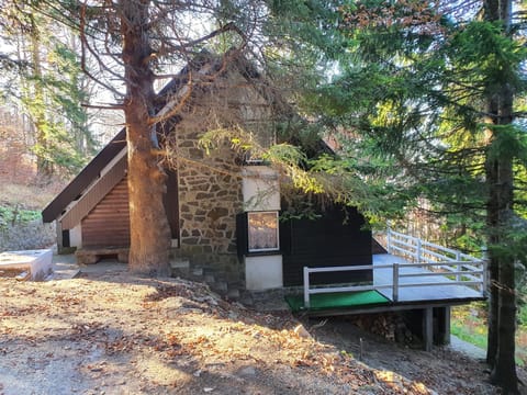 VILA PAVLOVIC House in Serbia