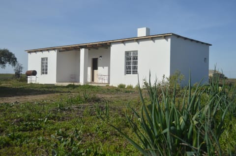 Property building, Garden view