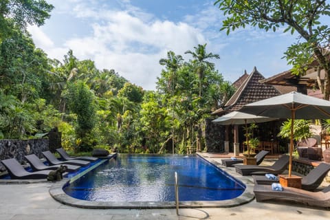 Day, Natural landscape, Garden, Swimming pool, sunbed
