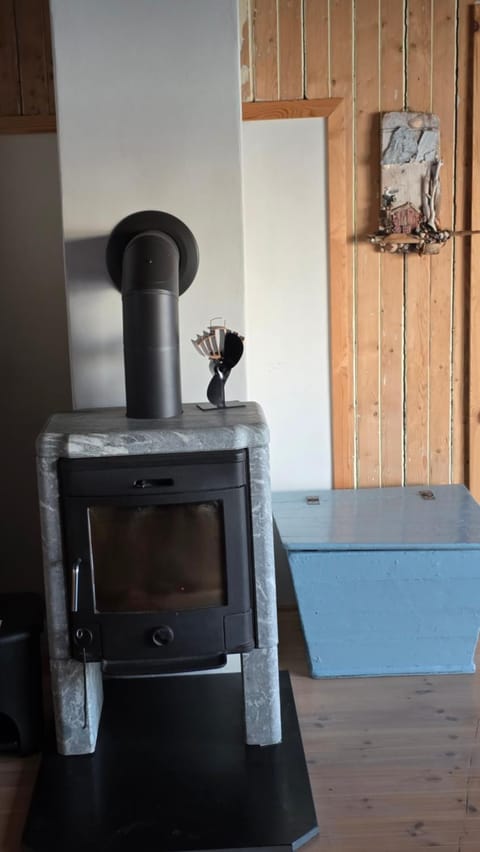 Kitchen or kitchenette, oven