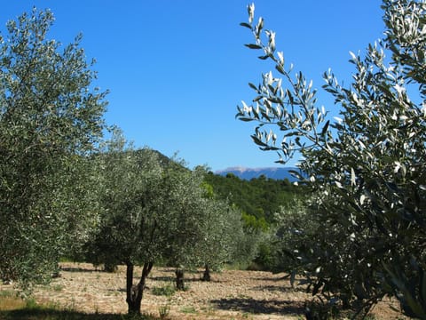 La Drugère - Gîtes et Roulottes House in Provence-Alpes-Côte d'Azur