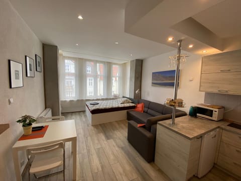 Kitchen or kitchenette, Living room, Seating area, Bedroom