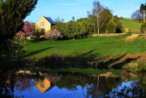 Lake view