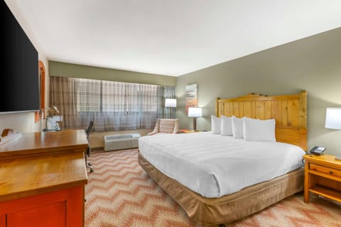 Bedroom, hair dresser