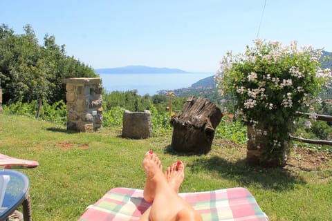 Natural landscape, Garden, Garden view, Sea view