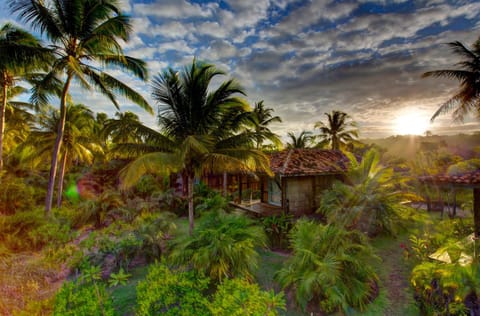 Natural landscape, Garden, Garden view, Sunset
