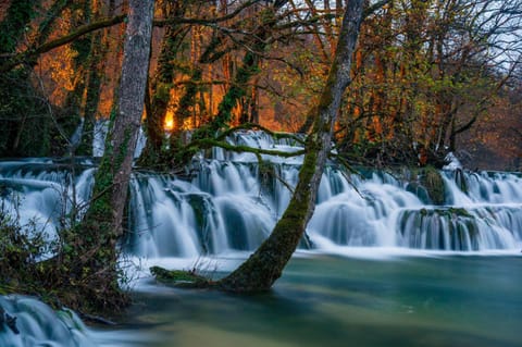 Natural landscape