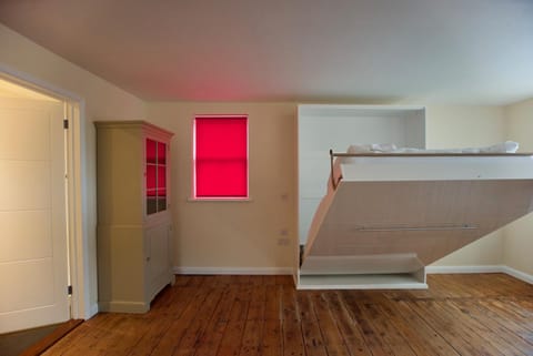 Spacious Apartment with Roof Terrace, near The Waterfront, Ipswich Apartment in Ipswich