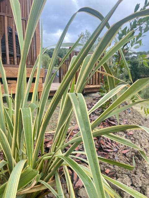 Podere Cortesi Agriturismo Molinaccio Farm Stay in Tuscany