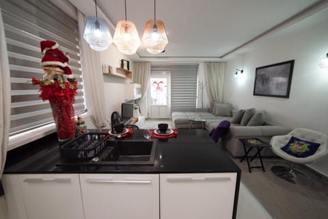 Kitchen or kitchenette, Seating area, Dining area