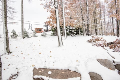 Mount Saalbach House in Michigan