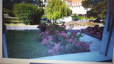 Fradji et myriam Apartment in Deauville