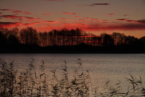 Fishing, Snorkeling, Beach, Canoeing, Diving