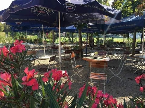 Patio, Restaurant/places to eat