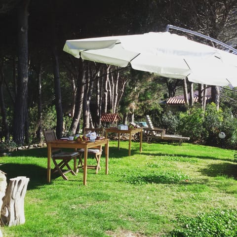 Property building, Garden