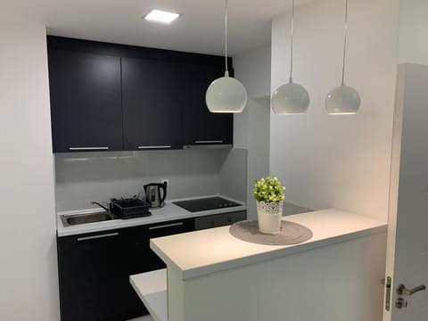 CENTRAL APARTMENT Apartment in Novi Sad