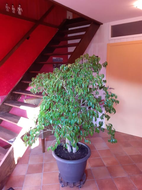 l'Heure bleue House in Wallonia, Belgium