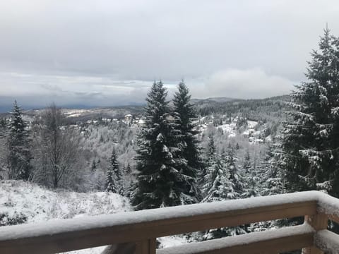 Winter, Skiing, Balcony/Terrace, Mountain view