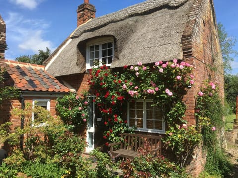 Property building, Garden view