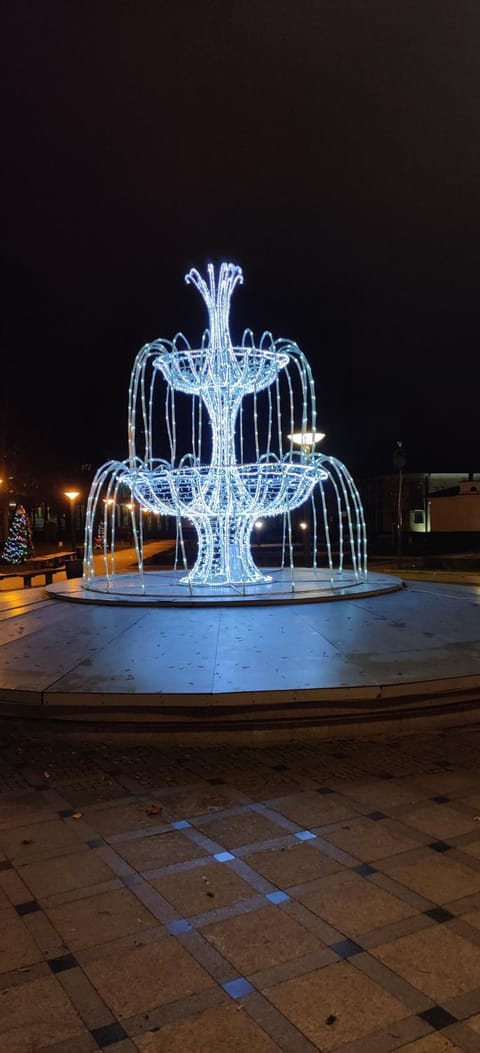 Jaukus butukas Apartment in Lithuania