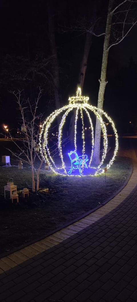 Jaukus butukas Apartment in Lithuania