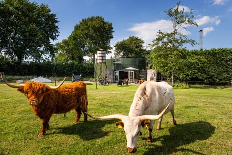 Property building, Natural landscape, Animals