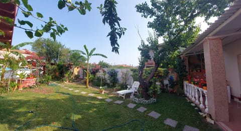 B&B Marino E Lily Bed and Breakfast in Sardinia