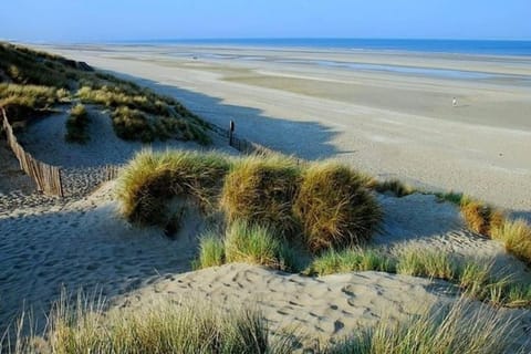 Natural landscape, Beach