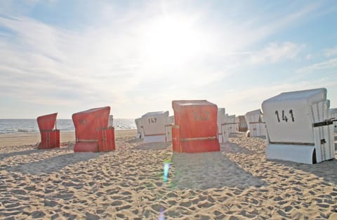 Natural landscape, Beach, Sunrise, Sunset