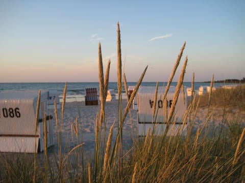 Natural landscape, Beach, Sea view, Sunrise, Sunset