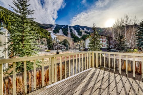 Aspenwood Ski Getaway Apartment in Ketchum