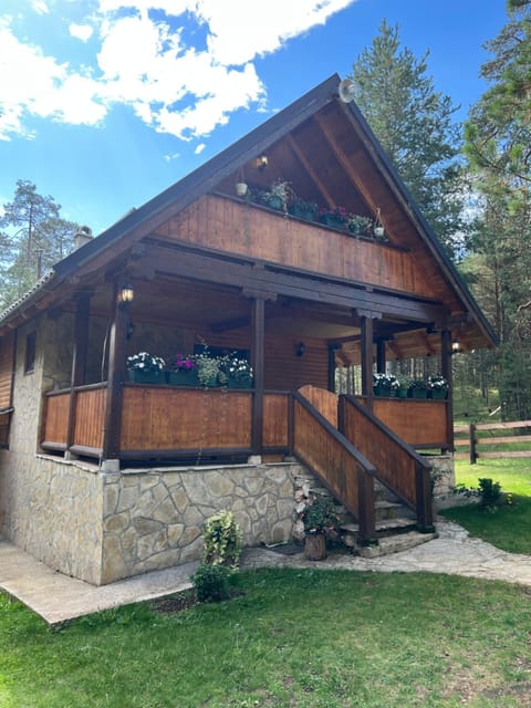 Vila Natasa Villa in Zlatibor District, Serbia