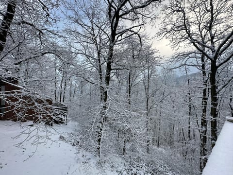 Natural landscape, Winter