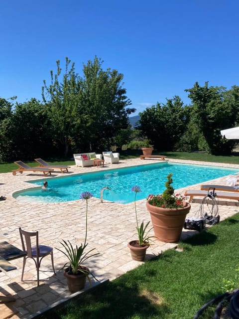 Garden, Garden view, Swimming pool, sunbed