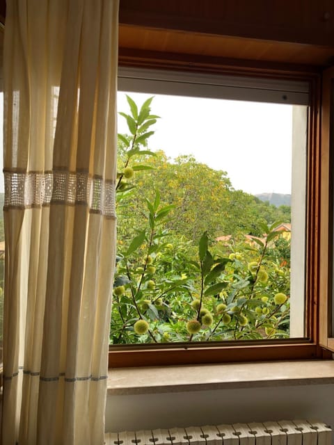 Natural landscape, Garden view