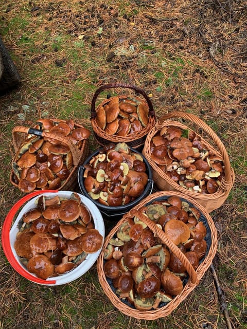 Monti Domki całoroczne House in West Pomeranian Voivodeship, Poland