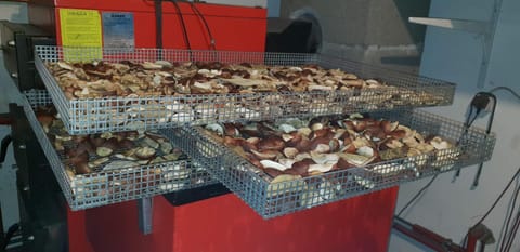 Monti Domki całoroczne House in West Pomeranian Voivodeship, Poland