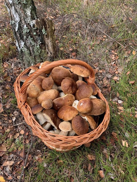 Monti Domki całoroczne House in West Pomeranian Voivodeship, Poland