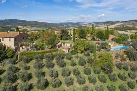 Neighbourhood, Bird's eye view