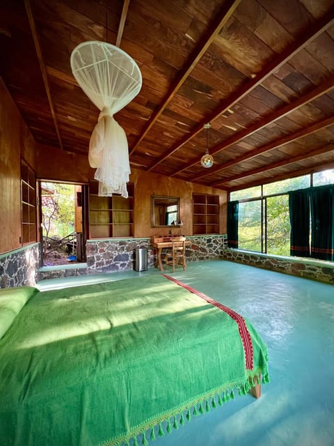 Photo of the whole room, Decorative detail, Garden view